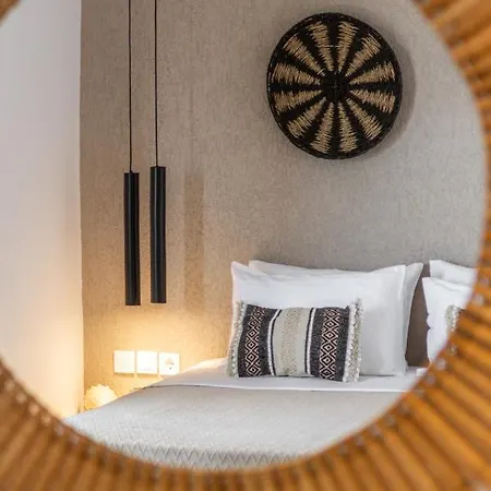 Chrysomelo 阿达玛斯